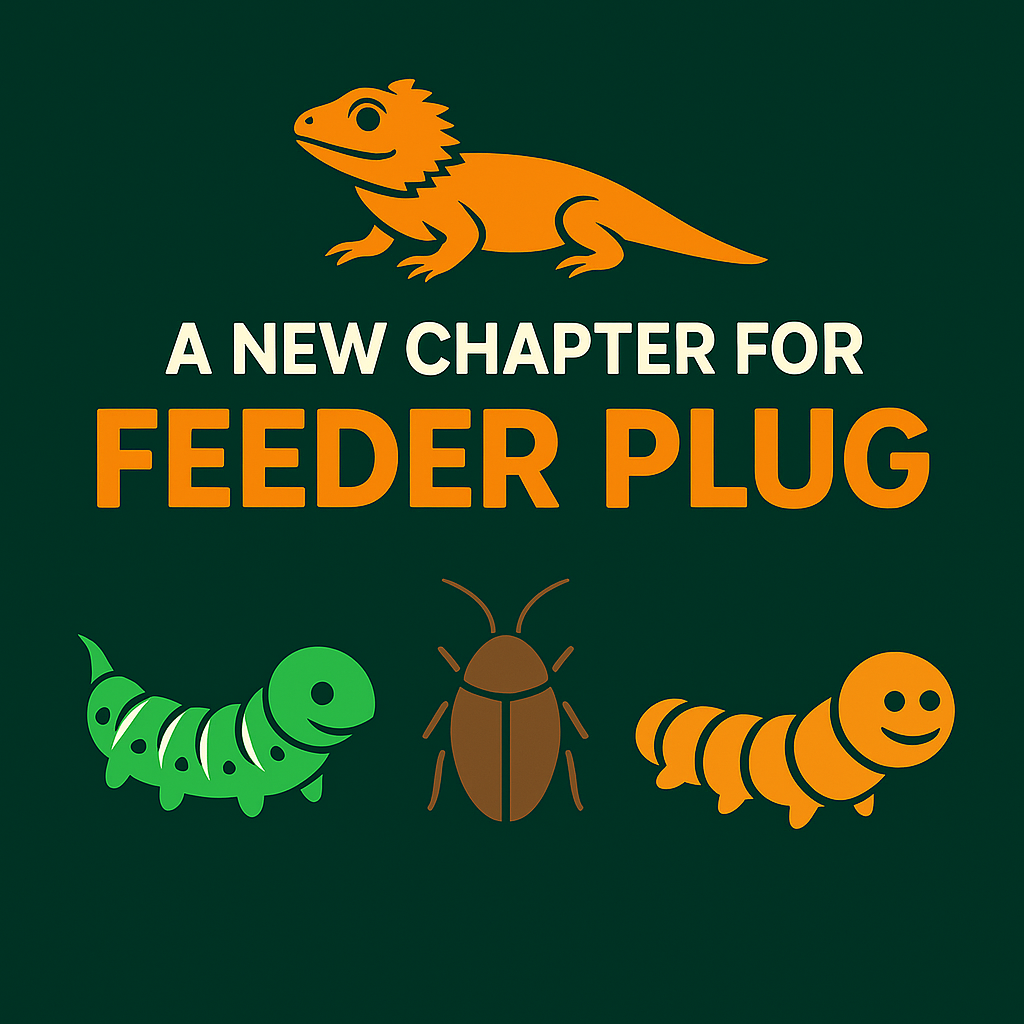 A New Chapter for Feeder Plug: Faster Shipping, Bigger Capacity, and a Full Retail Expansion